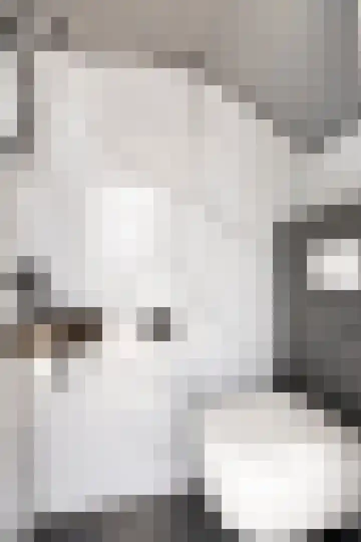 Graaf van Egmondstraat 11 Oud-Beijerland thumbnail 9