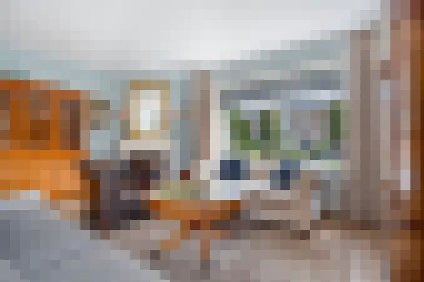 Graaf van Egmondstraat 67 Oud-Beijerland thumbnail 12