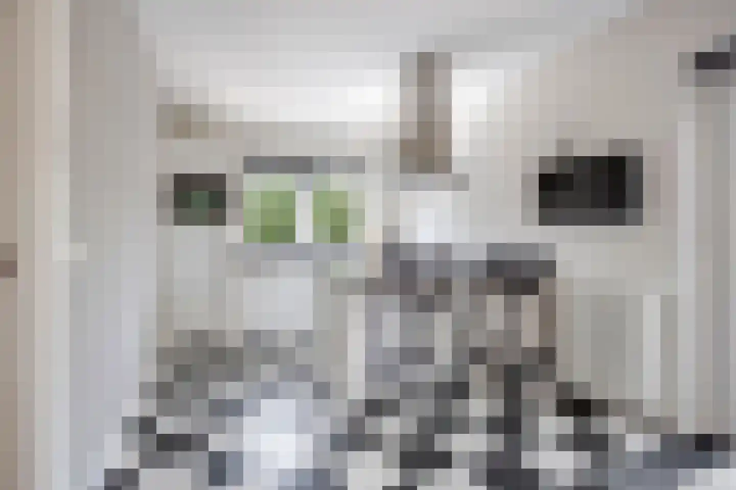 Graaf van Egmondstraat 67 Oud-Beijerland thumbnail 19