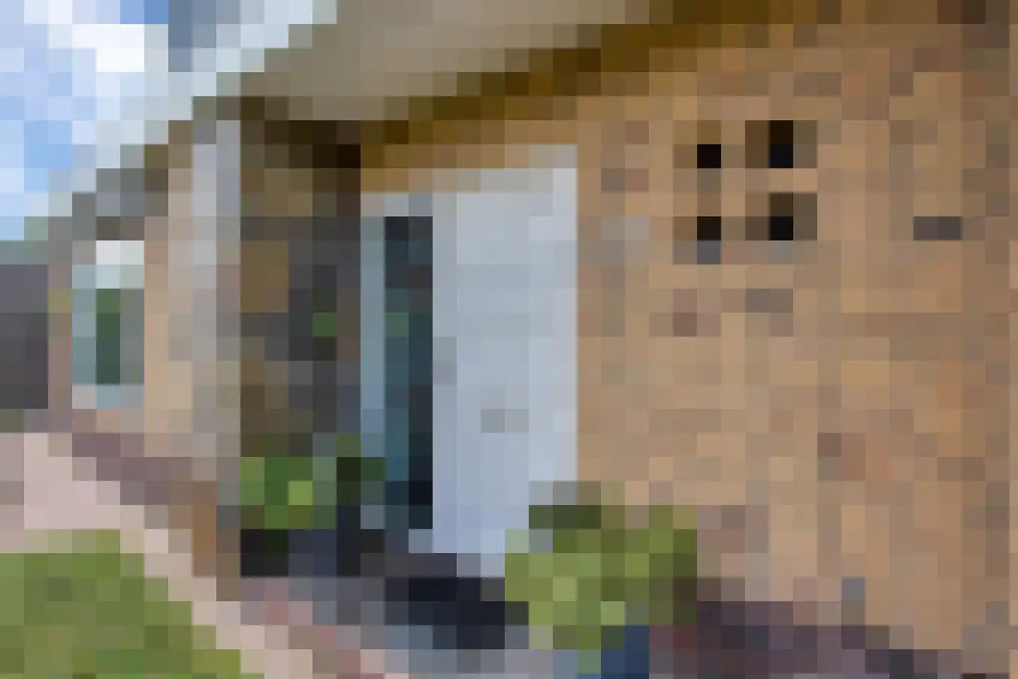 Graaf van Egmondstraat 67 Oud-Beijerland thumbnail 36