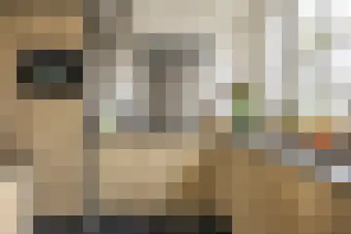 Graaf van Egmontpad 16 Woudrichem thumbnail 10