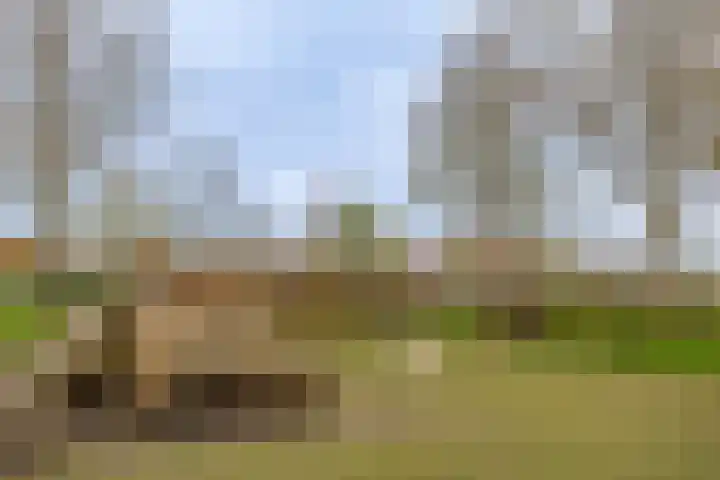Graaf van Egmontpad 16 Woudrichem thumbnail 22