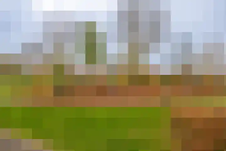 Graaf van Egmontpad 16 Woudrichem thumbnail 23