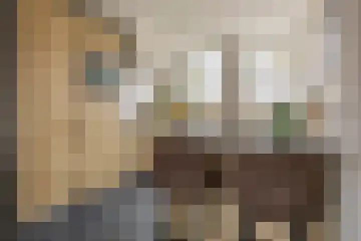Graaf van Egmontpad 16 Woudrichem thumbnail 8