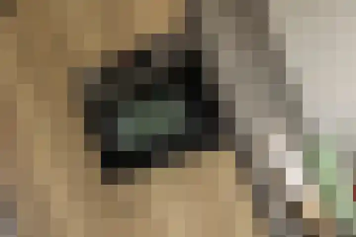 Graaf van Egmontpad 16 Woudrichem thumbnail 9