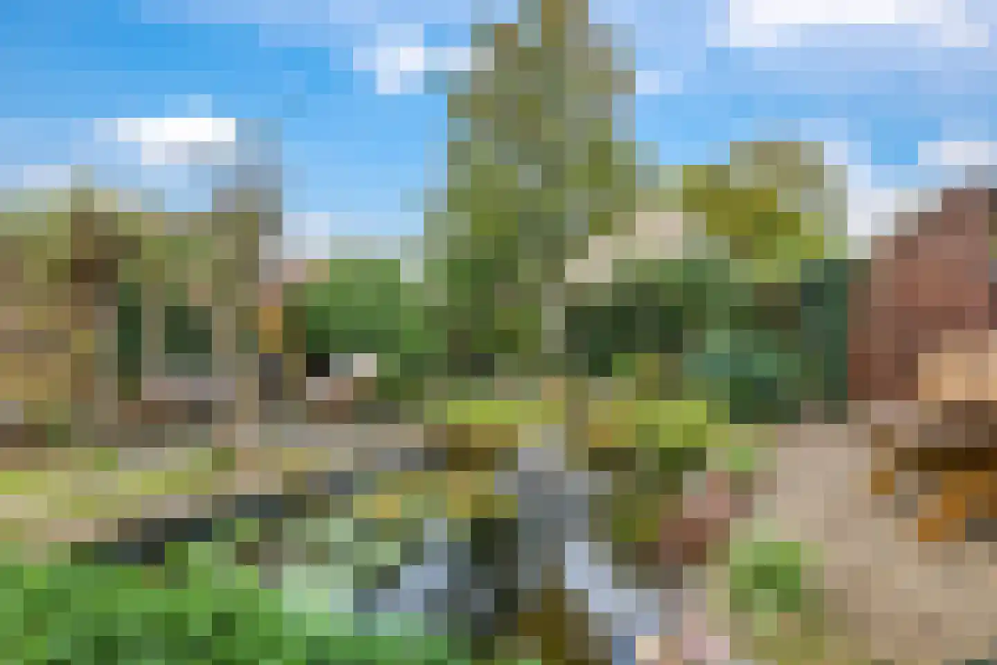 Graaf van Gelrestraat 20 Gendt thumbnail 31