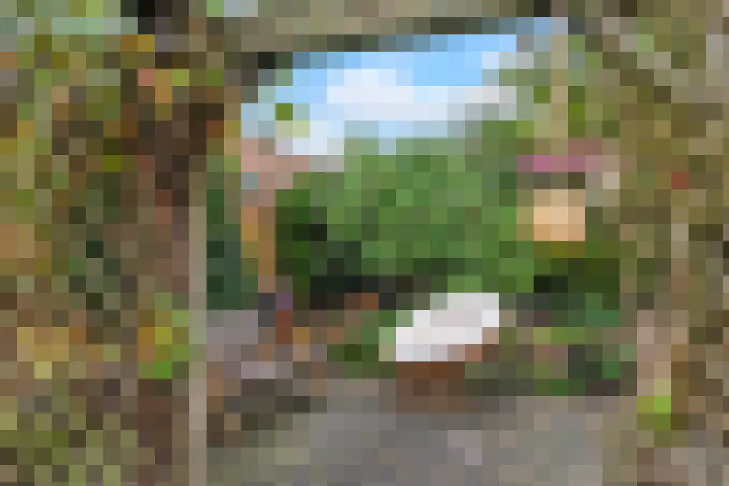 Graaf van Gelrestraat 20 Gendt thumbnail 34