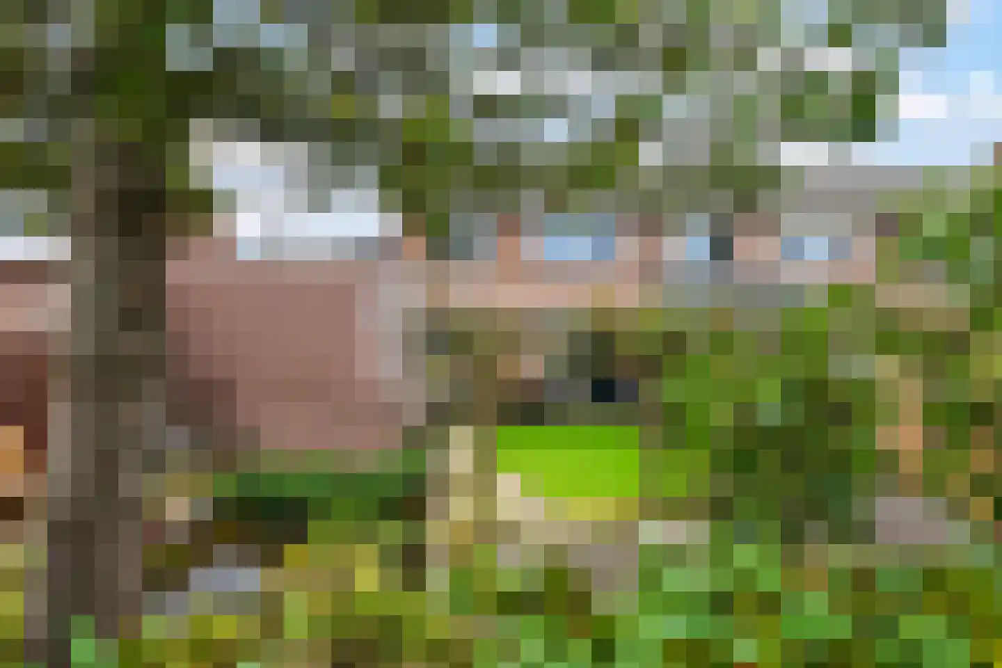 Graaf van Gelrestraat 20 Gendt thumbnail 35