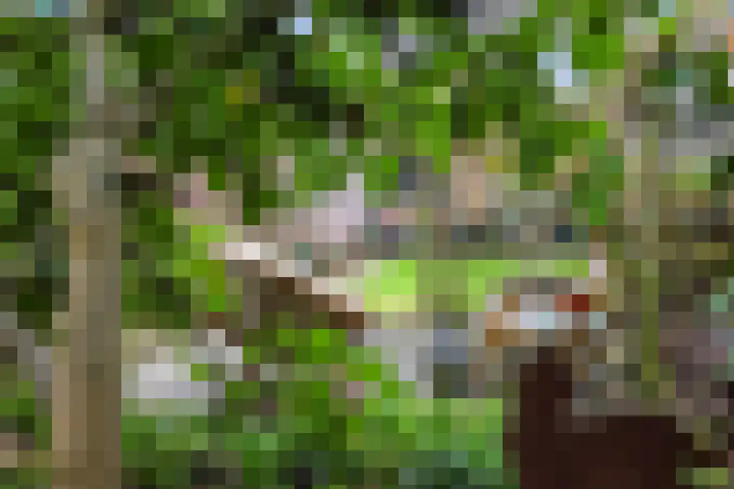 Graaf van Gelrestraat 20 Gendt thumbnail 36