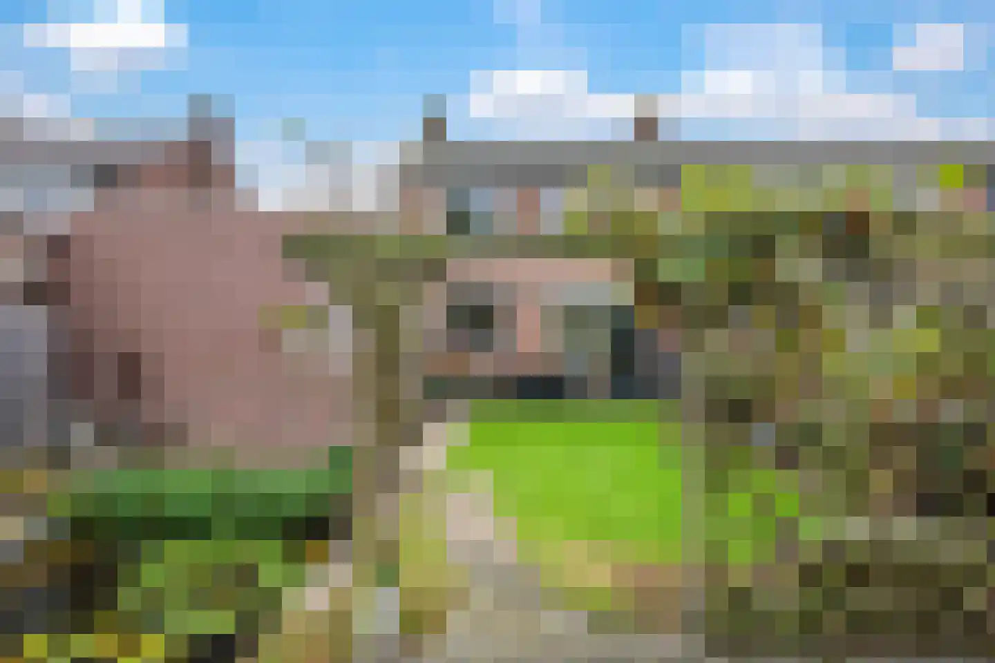 Graaf van Gelrestraat 20 Gendt thumbnail 38