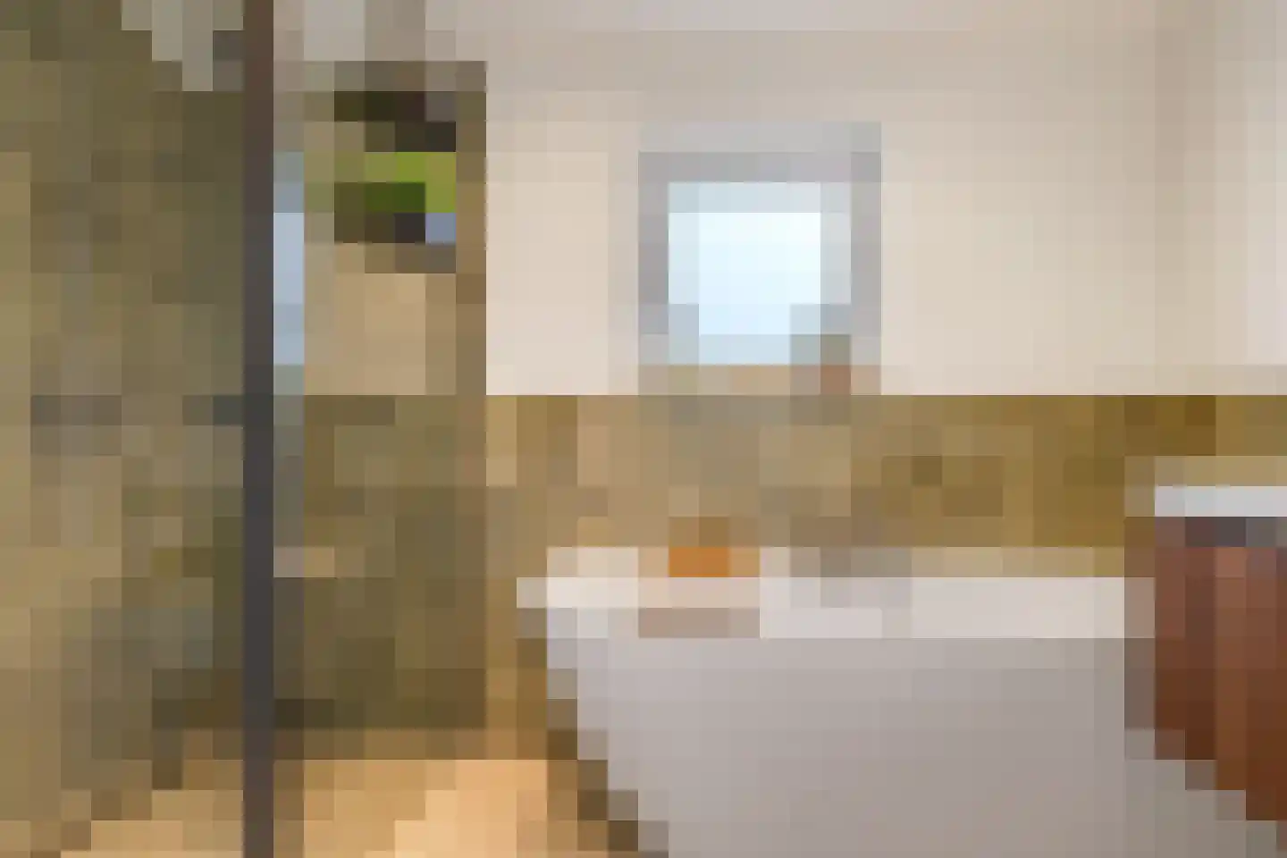 Graaf van Gelrestraat 20 Gendt thumbnail 4