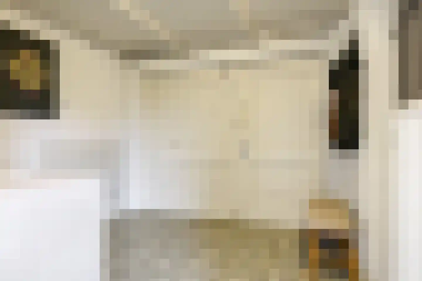 Graaf van Gelrestraat 20 Gendt thumbnail 47