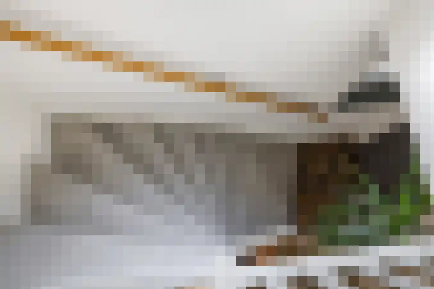 Graaf van Gelrestraat 20 Gendt thumbnail 49