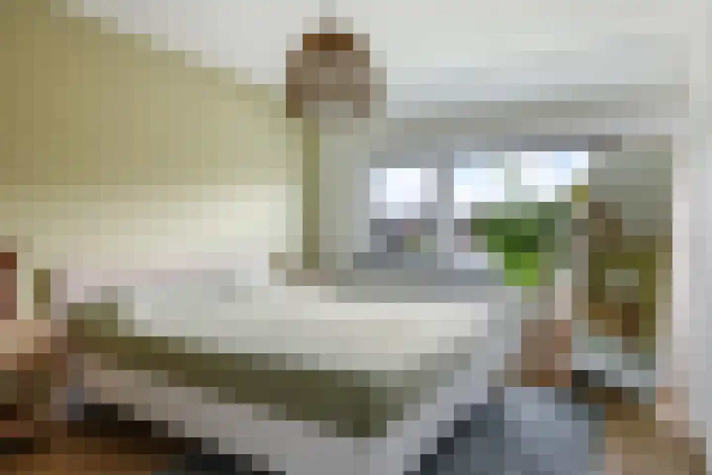 Graaf van Gelrestraat 20 Gendt thumbnail 52