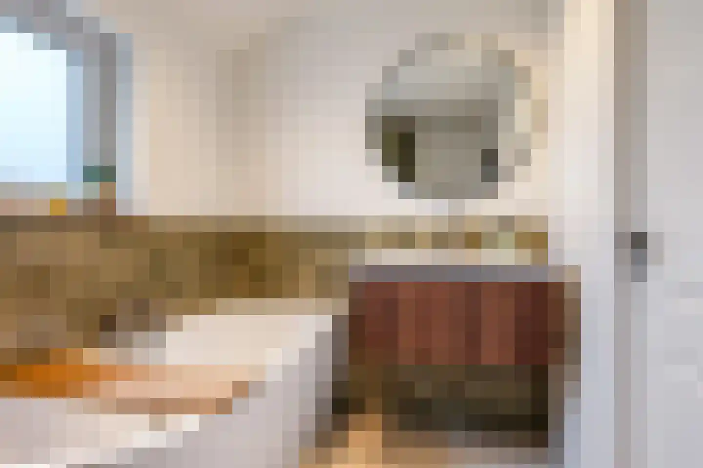 Graaf van Gelrestraat 20 Gendt thumbnail 60