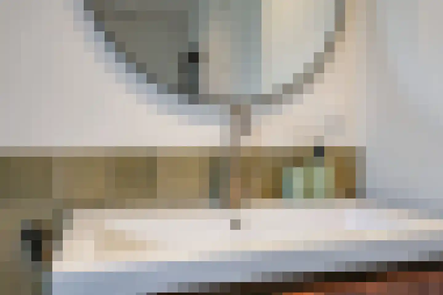 Graaf van Gelrestraat 20 Gendt thumbnail 61
