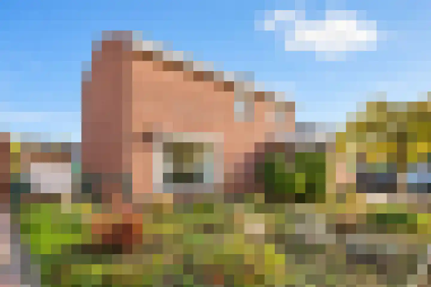 Graaf van Gelrestraat 4 Melick thumbnail 26