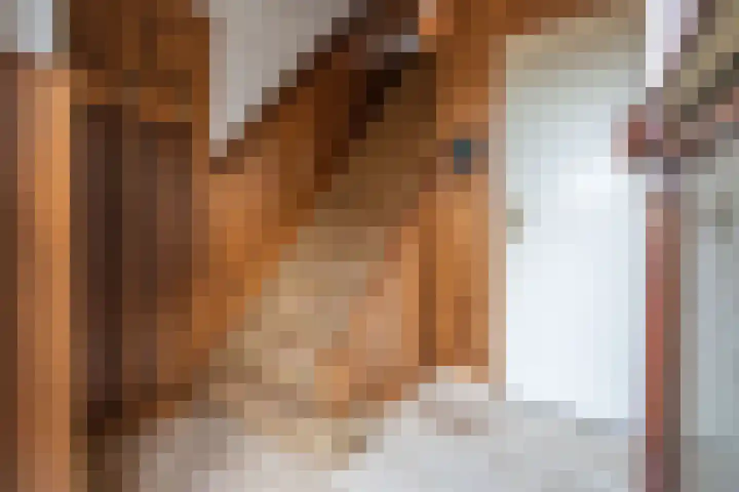 Graaf van Hornelaan 12 Heythuysen thumbnail 14