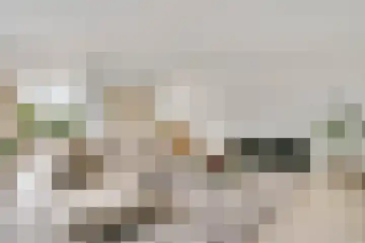 Graaf van Hornelaan 15 Heythuysen thumbnail 10