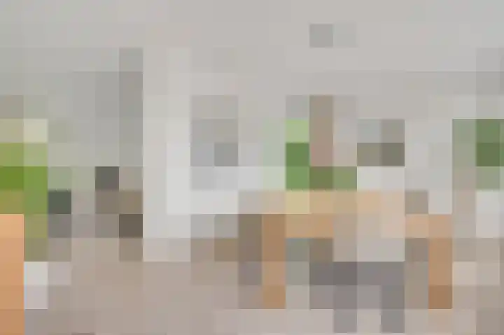 Graaf van Hornelaan 15 Heythuysen thumbnail 12