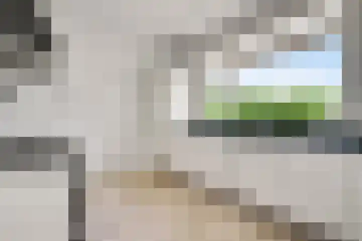 Graaf van Hornelaan 15 Heythuysen thumbnail 13