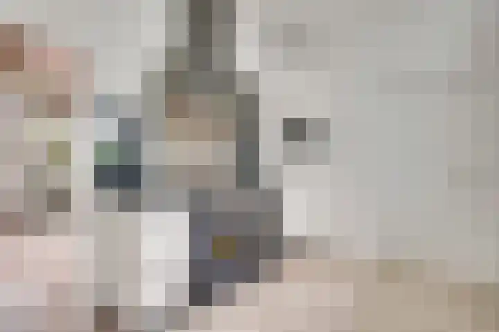 Graaf van Hornelaan 15 Heythuysen thumbnail 16