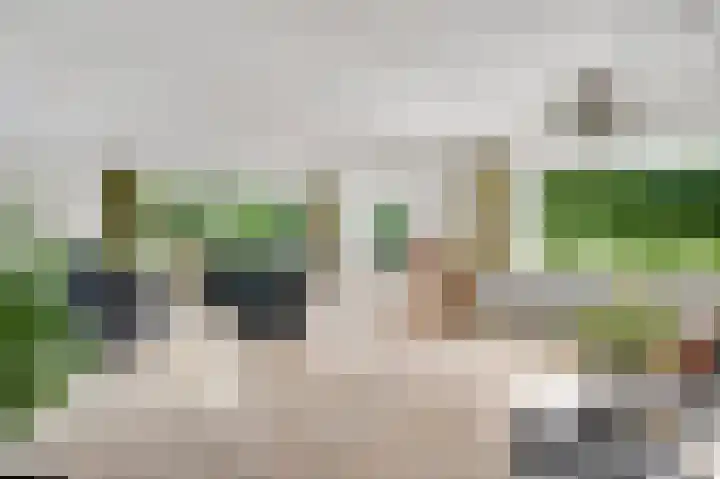 Graaf van Hornelaan 15 Heythuysen thumbnail 17