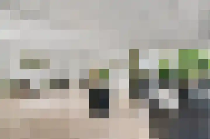 Graaf van Hornelaan 15 Heythuysen thumbnail 18