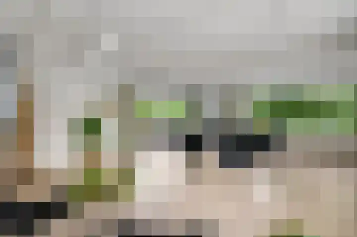 Graaf van Hornelaan 15 Heythuysen thumbnail 19