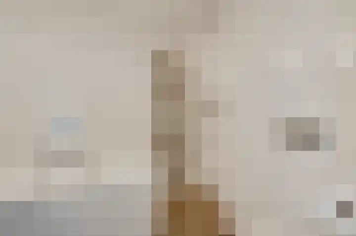 Graaf van Hornelaan 15 Heythuysen thumbnail 27