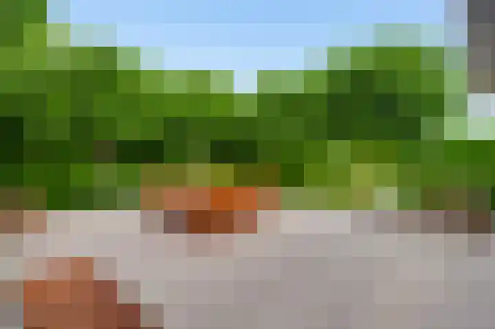 Graaf van Hornelaan 15 Heythuysen thumbnail 40