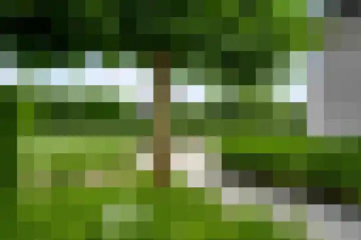 Graaf van Hornelaan 15 Heythuysen thumbnail 42