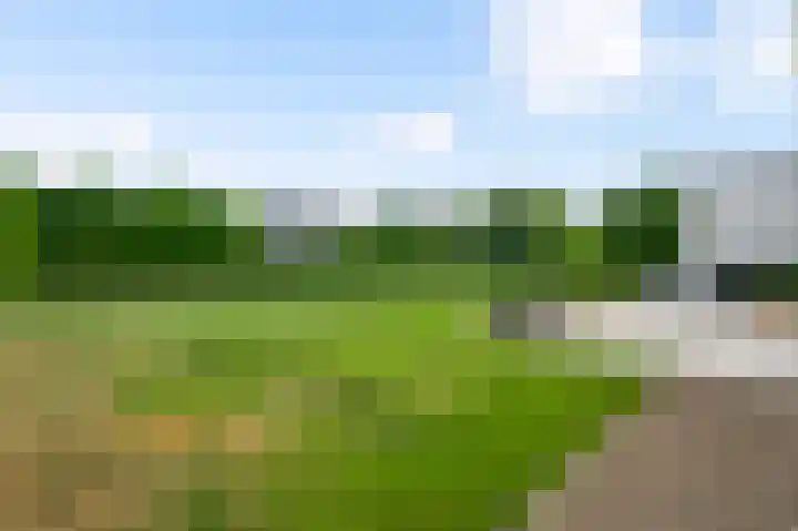 Graaf van Hornelaan 15 Heythuysen thumbnail 43