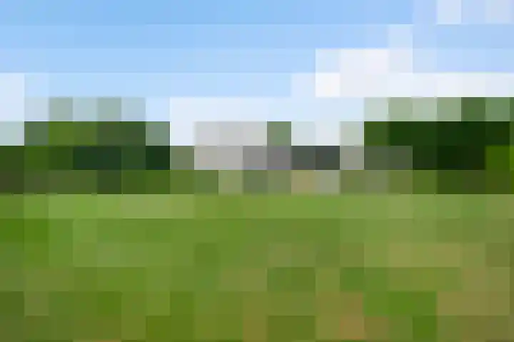 Graaf van Hornelaan 15 Heythuysen thumbnail 44