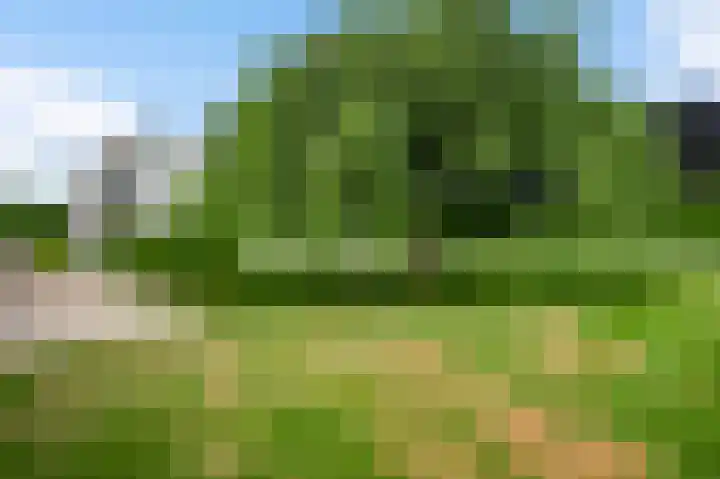 Graaf van Hornelaan 15 Heythuysen thumbnail 45