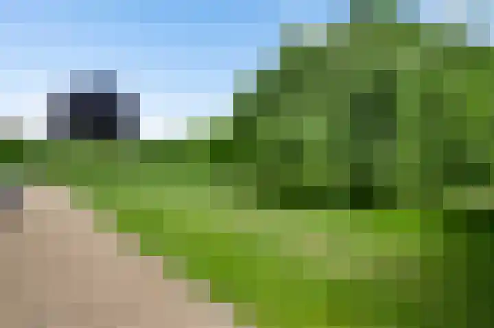 Graaf van Hornelaan 15 Heythuysen thumbnail 46