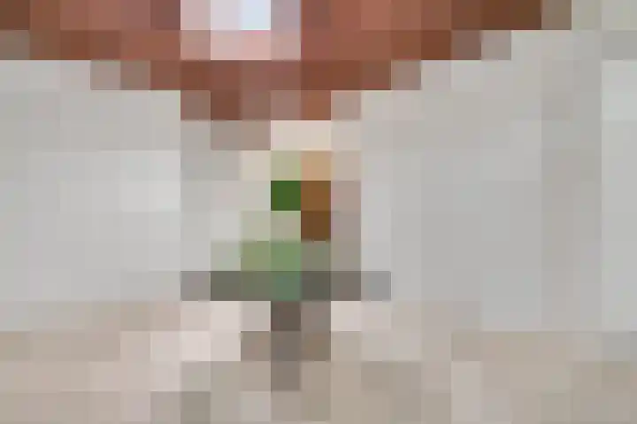 Graaf van Hornelaan 15 Heythuysen thumbnail 5
