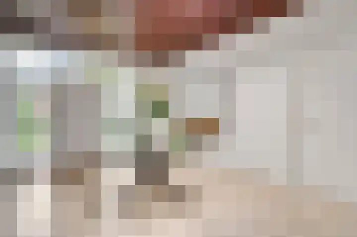 Graaf van Hornelaan 15 Heythuysen thumbnail 6