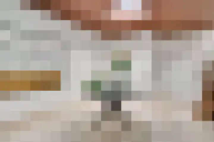 Graaf van Hornelaan 15 Heythuysen thumbnail 7