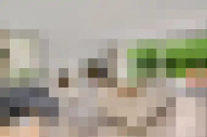 Graaf van Hornelaan 15 Heythuysen thumbnail 9