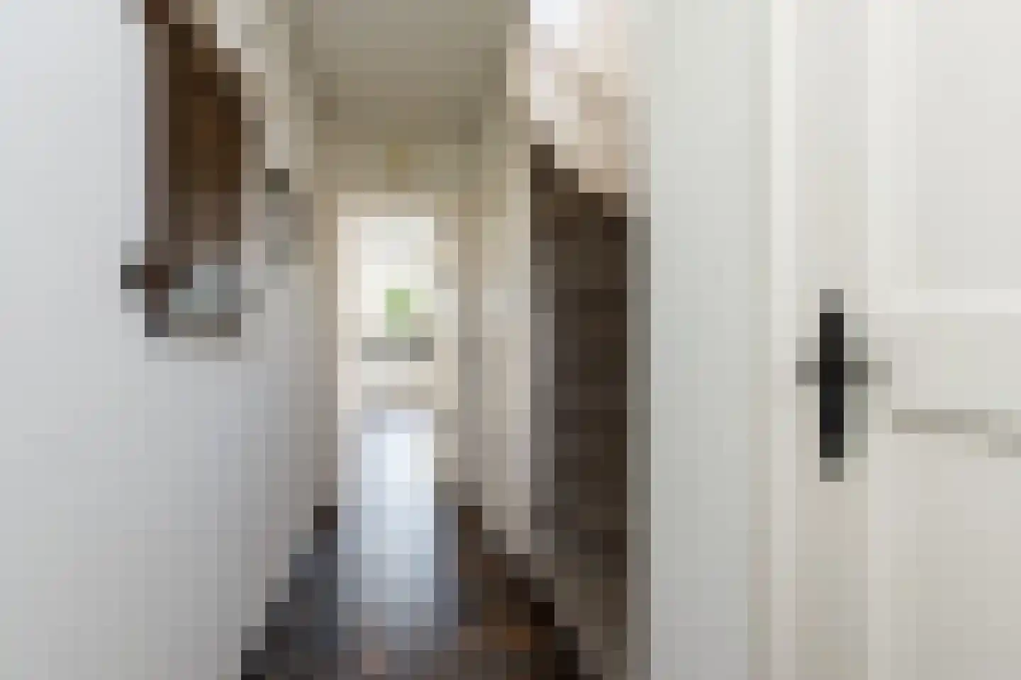 Graaf van Hornelaan 18 Werkendam thumbnail 13