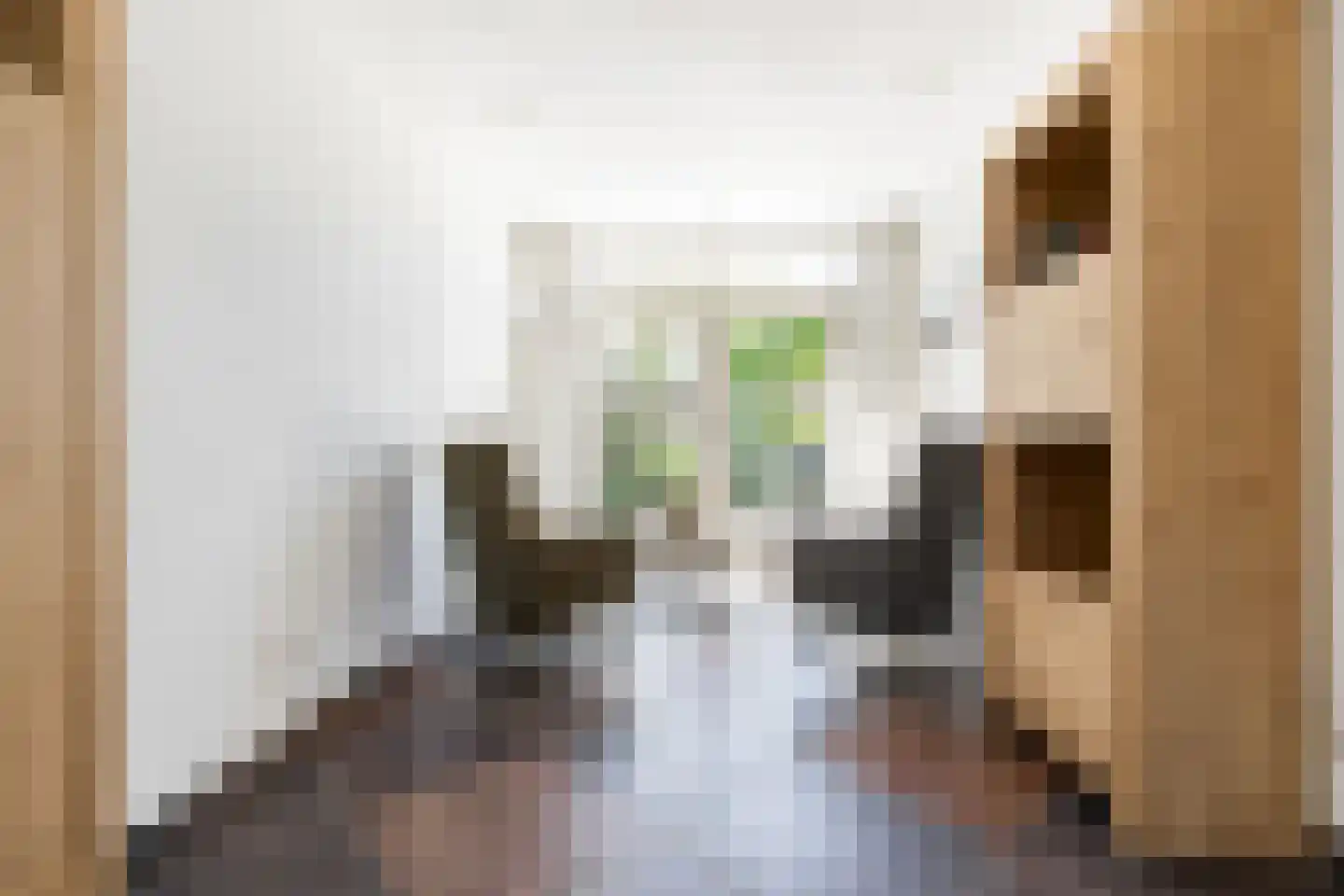 Graaf van Hornelaan 18 Werkendam thumbnail 18