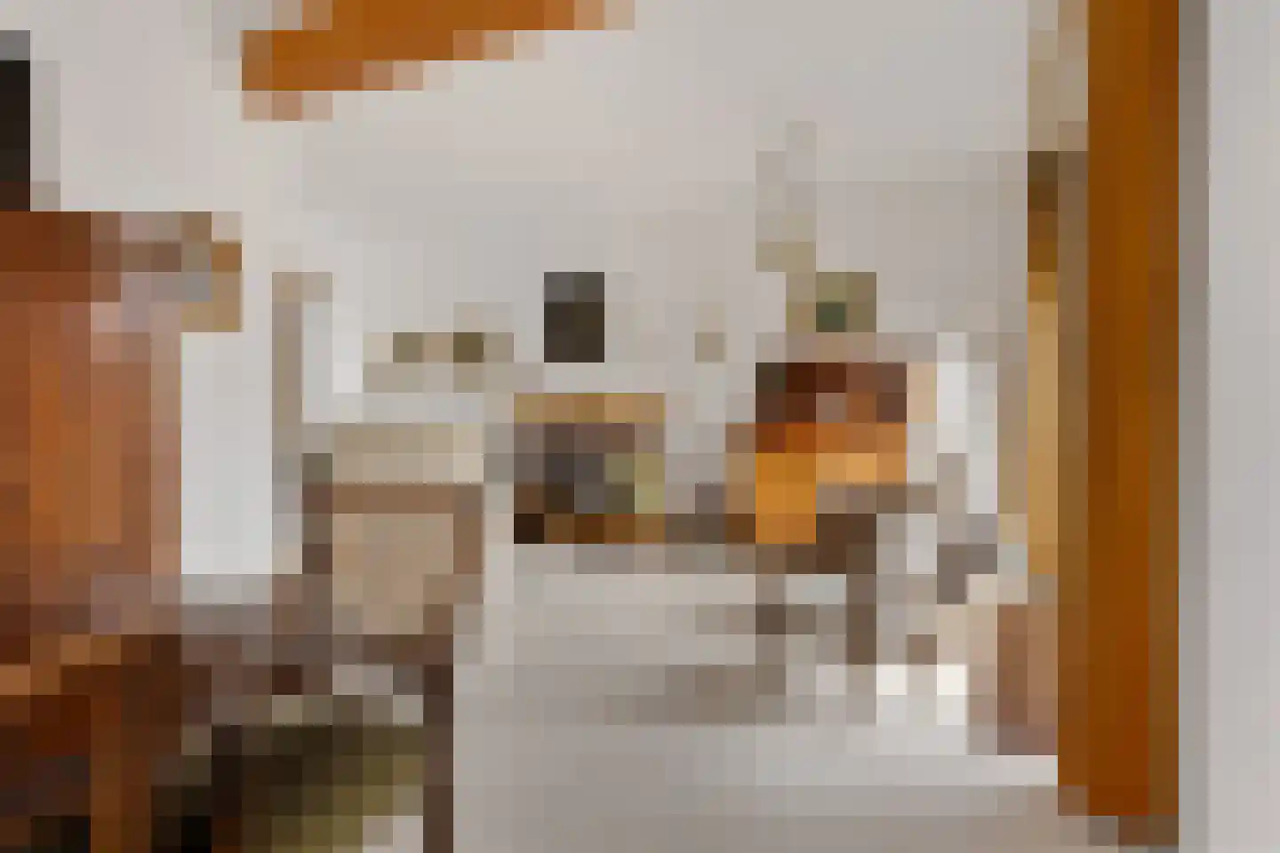 Graaf van Hornelaan 20 Heythuysen thumbnail 18