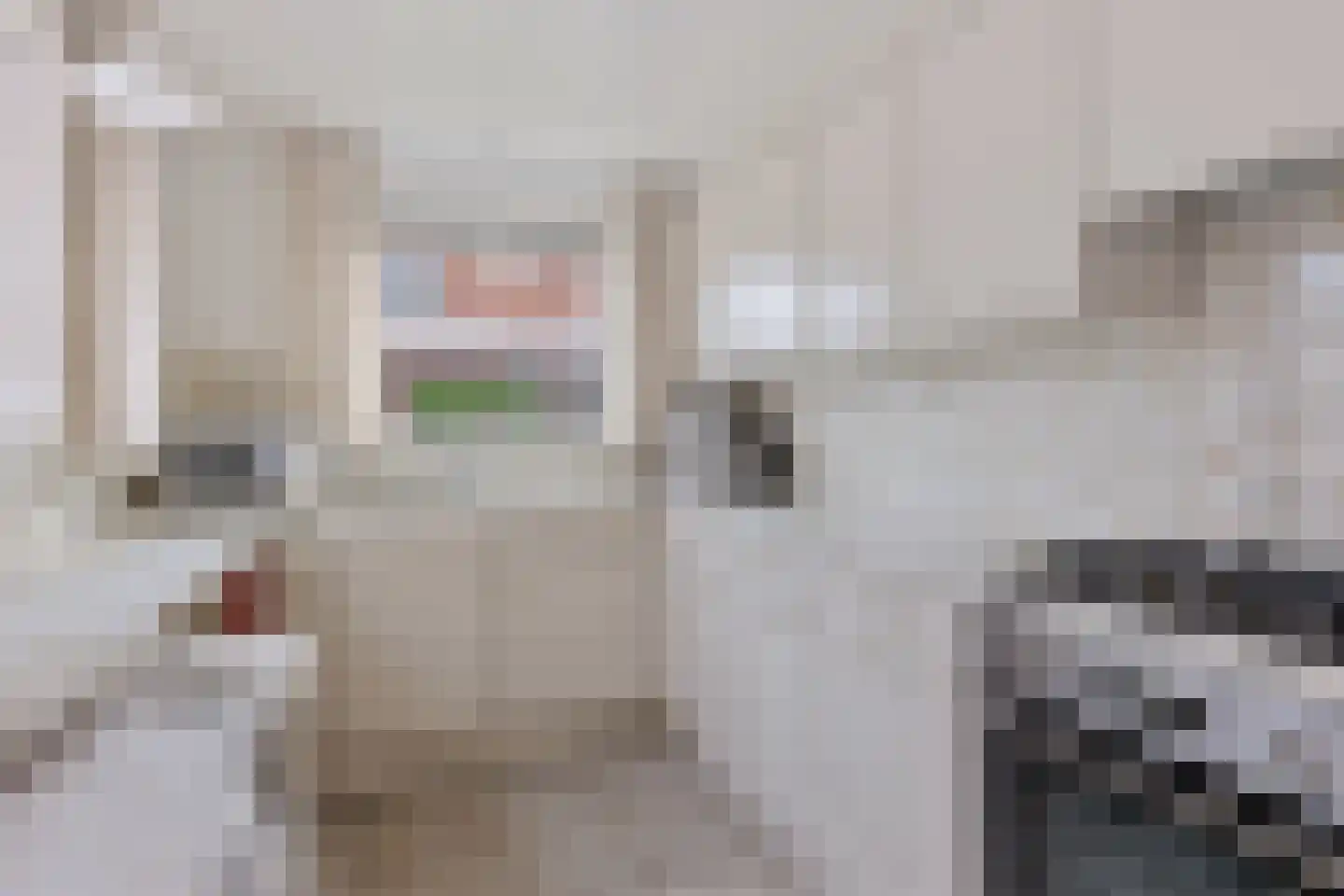 Graaf van Hornelaan 20 Heythuysen thumbnail 19