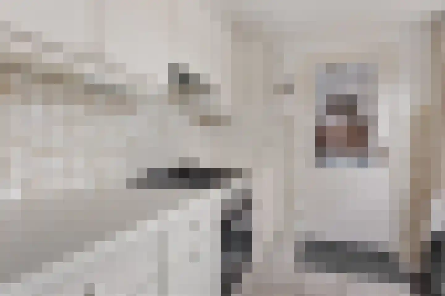 Graaf van Hornelaan 20 Heythuysen thumbnail 20