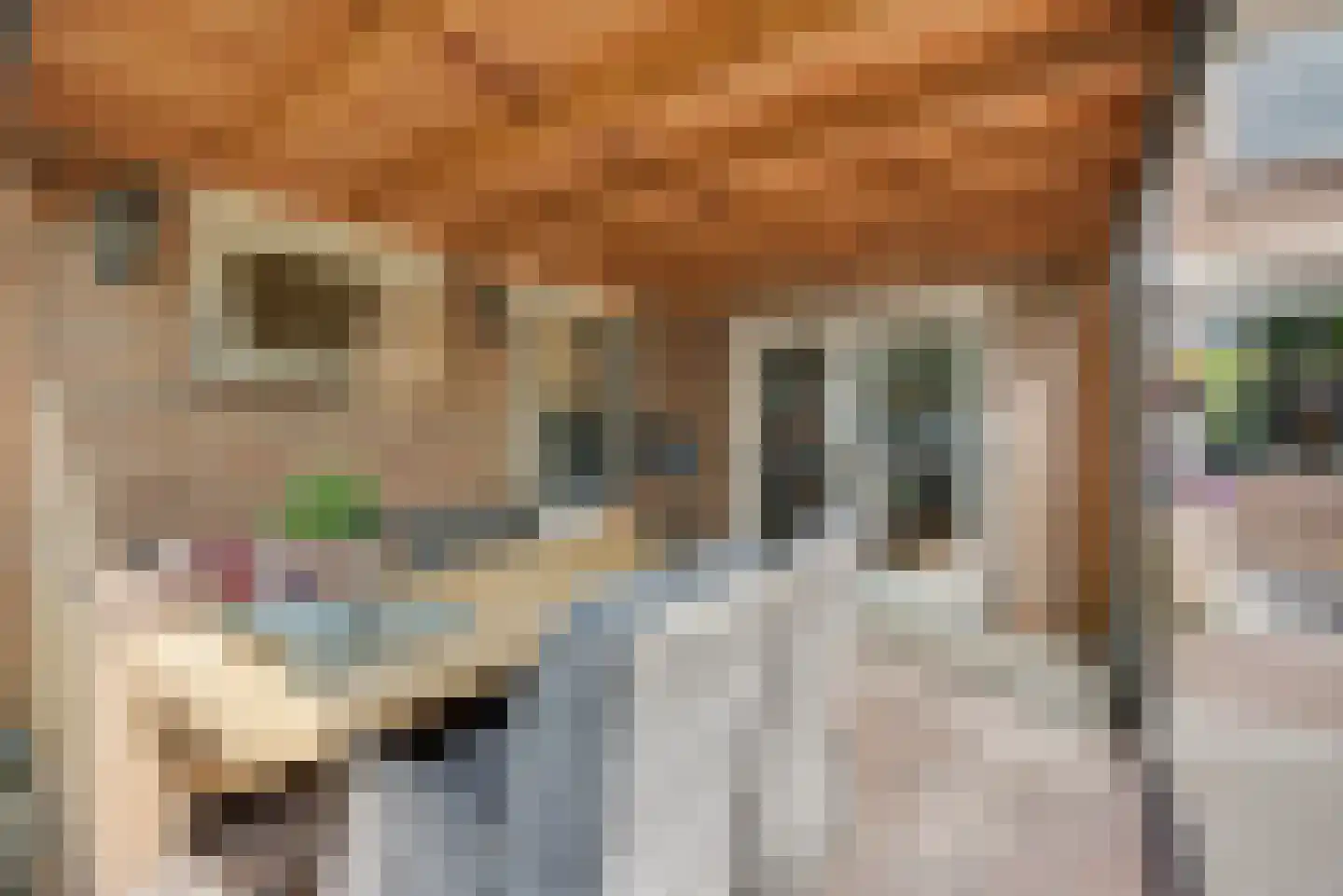 Graaf van Hornelaan 26 Werkendam thumbnail 31