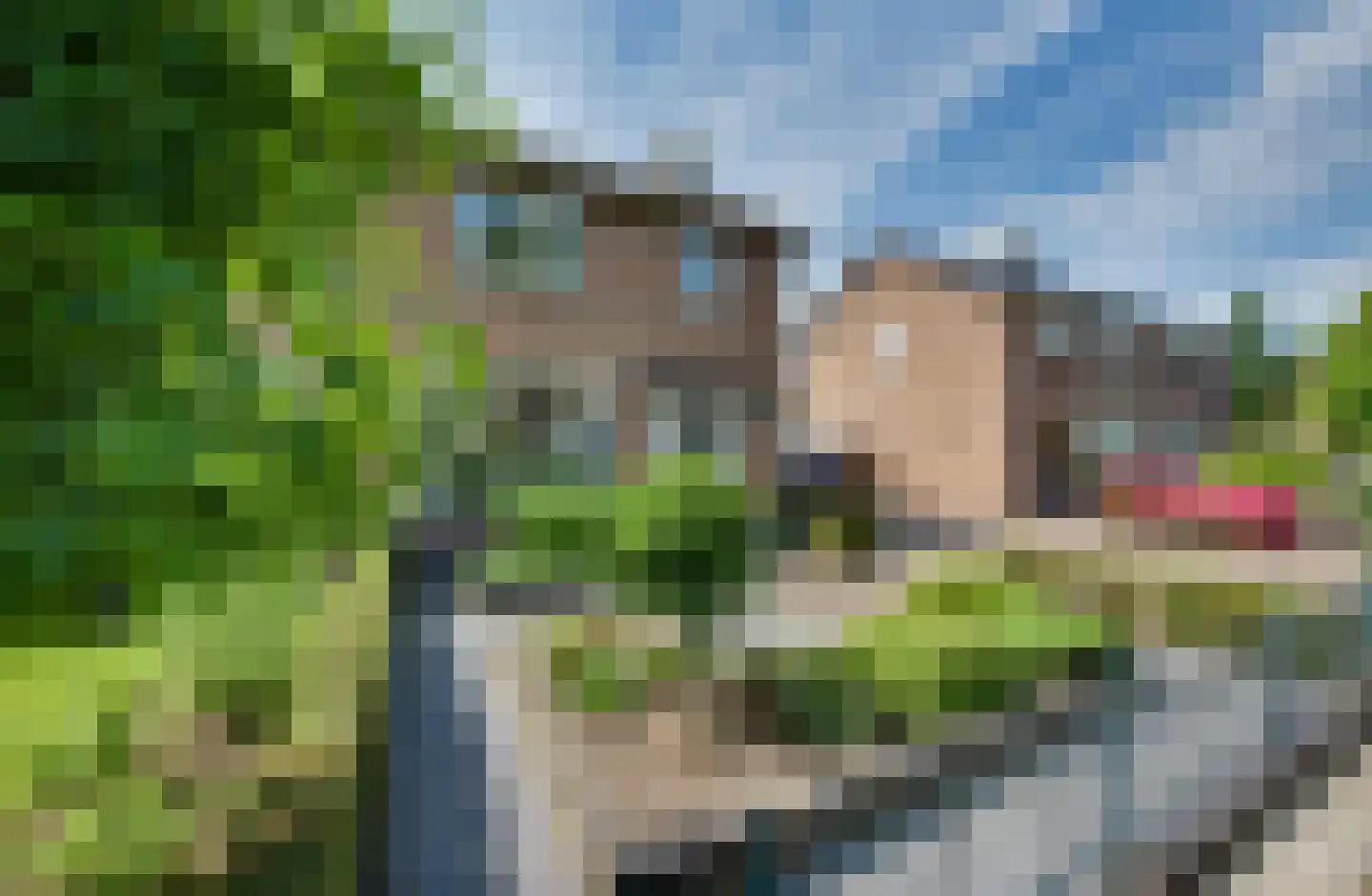Graaf van Hornelaan 26 Werkendam thumbnail 6