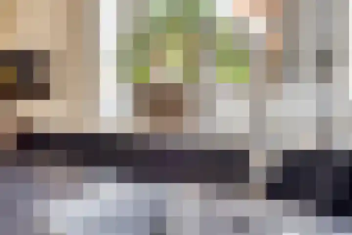 Graaf van Hornelaan 34 Werkendam thumbnail 20