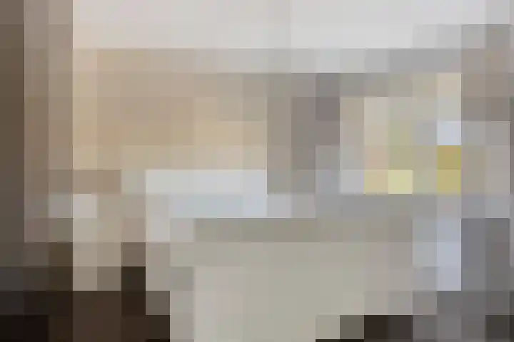 Graaf van Hornelaan 34 Werkendam thumbnail 27