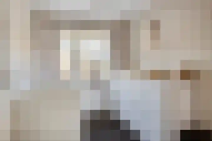 Graaf van Hornelaan 34 Werkendam thumbnail 29